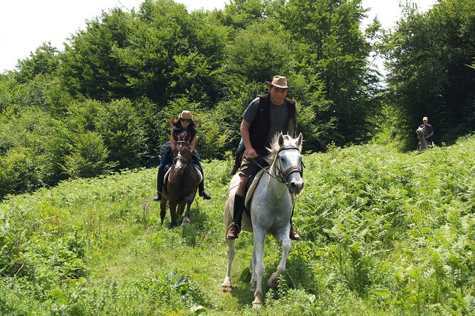 Balkan Horse Riding - Glozhene Monastery Ride - Through the century-old beech forest