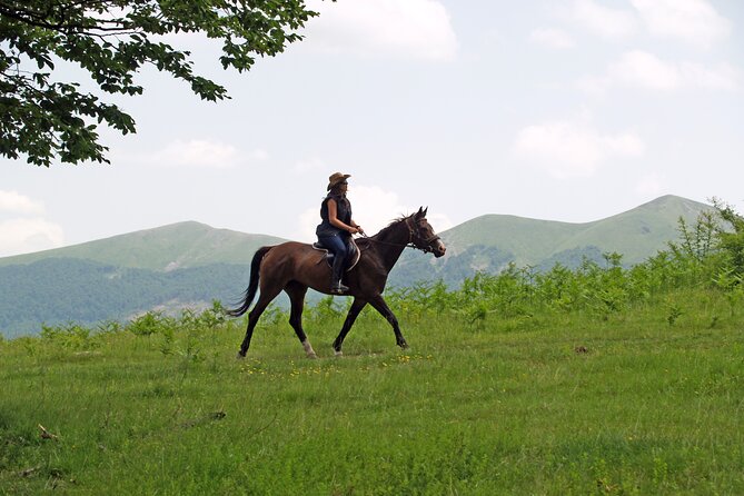 Balkan Horse Riding - Glozhene Monastery Ride - Forest paths toward the Ridge of Lisets