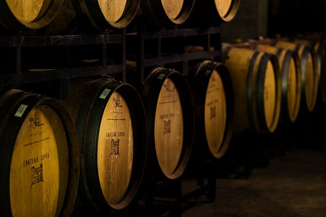 Chateau Copsa Wine Tasting Tours & Activities - Why Chateau Copsa works as a Thracian Valley stop