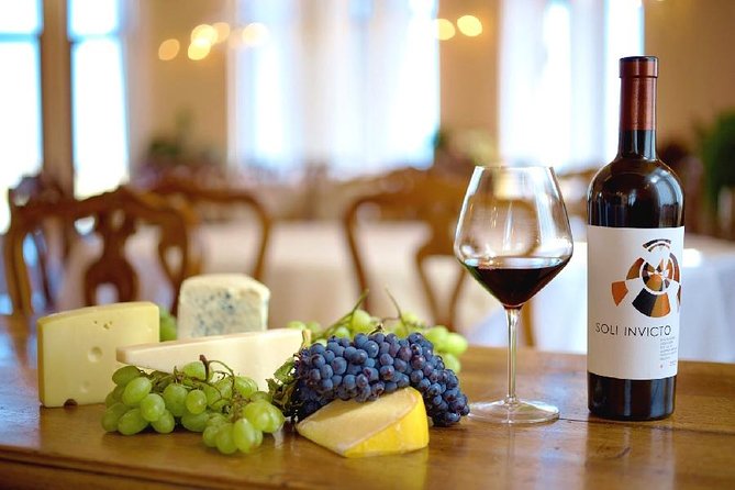 Edoardo Miroglio Private Boutique Winery Tour - Starting at Soli Invicto hotel