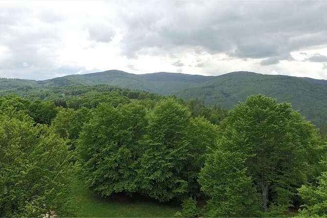 From Sofia: Serbia and Macedonia Trip - Lunch with local flavor