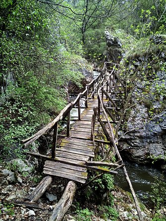 From Sofia: The gorges of Trun and Dragovski stone trail - Why the gorge walk can be the day’s highlight