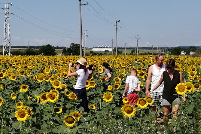 Full-Day Small-Group Tour of Bulgaria by Minivan with Lunch - Varna’s central market from the minivan