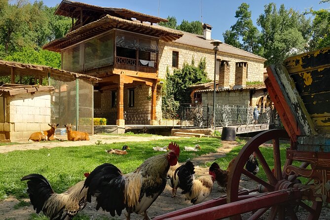 Full-Day Small-Group Tour of Bulgaria by Minivan with Lunch - The guide’s role and the language schedule