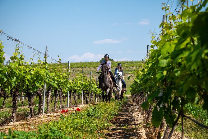 Half-Day of Horseback Adventure with Wine Tasting - Key points at a glance