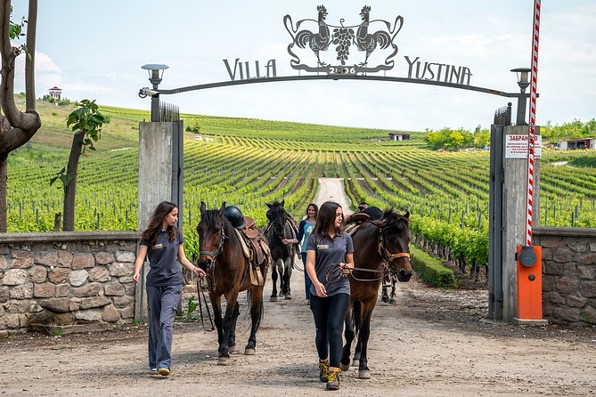 Half-Day of Horseback Adventure with Wine Tasting - Riding through vineyards and Rhodope foothills