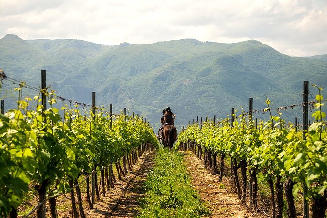 Half-Day of Horseback Adventure with Wine Tasting - Reaching Red Church by horseback