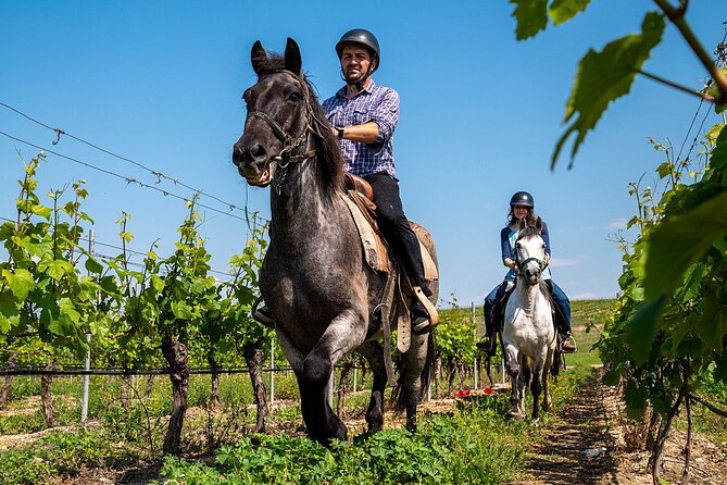Half-Day of Horseback Adventure with Wine Tasting - Returning to Yustina for the wine tasting