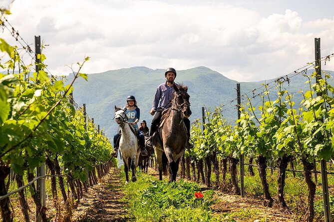 Half-Day of Horseback Adventure with Wine Tasting - What the small group changes