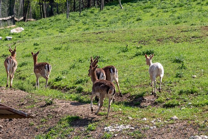 Half-Day of Horseback Adventure with Wine Tasting - A riverside pause with a packed lunch