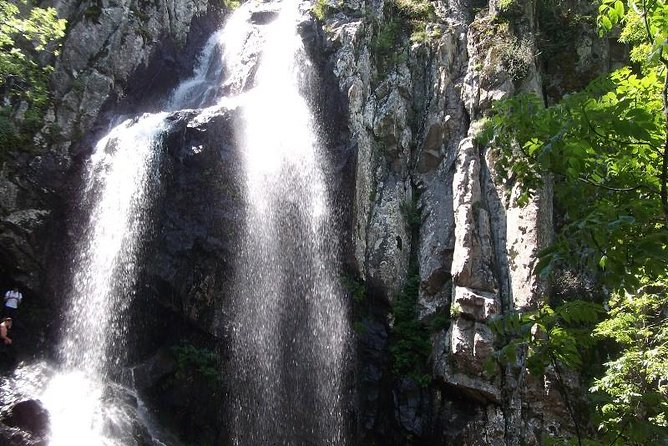 Mt. Vitosha and Boyana Waterfall Hiking Tour from Sofia - Boyana Waterfall and the rougher forest section