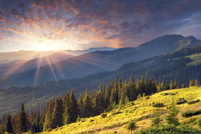 Mt. Vitosha and Boyana Waterfall Hiking Tour from Sofia - Lunch, transfers, and the real cost of $131.81
