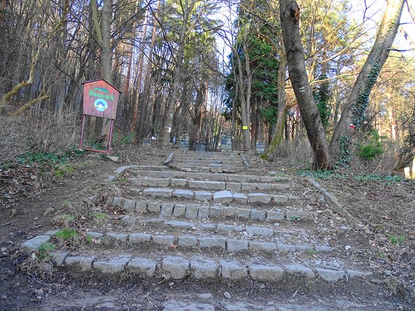 Mt. Vitosha and Boyana Waterfall Hiking Tour from Sofia - How the walk may change for different groups