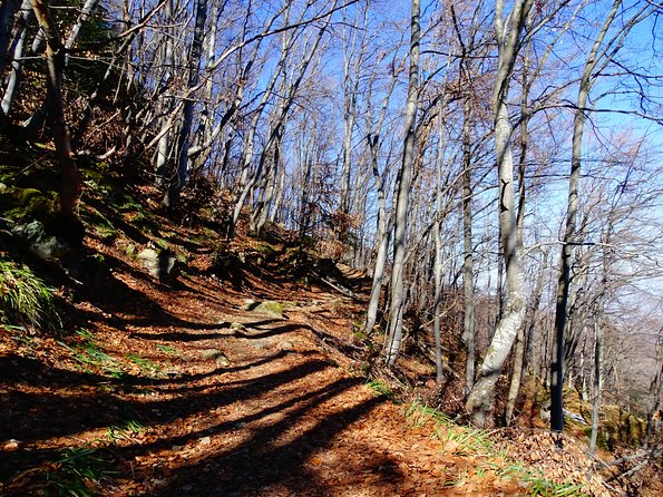 Mt. Vitosha and Boyana Waterfall Hiking Tour from Sofia - What to pack for Vitosha