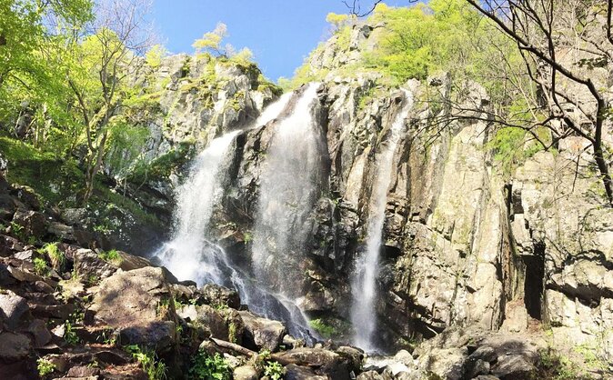 Mt. Vitosha and Boyana Waterfall Hiking Tour from Sofia - Walking through forest, pasture, and open mountain ground