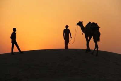 Non Touristic Half Day Camel Safari Thar Desert Sunset