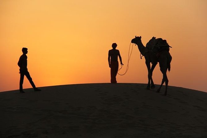 Non Touristic Half Day Camel Safari Thar Desert Sunset - The Oasis That Serves More Than Forty-Five Villages