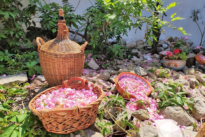 Picking Roses Workshop & Extracting Rose Oil in the Rose Valley - Karlovo, the old town, and the Valley of Roses