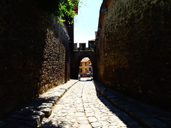 Plovdiv and Perushtitsa Day Trip with Wine Tasting from Sofia - Transport, comfort, and the nine-hour schedule
