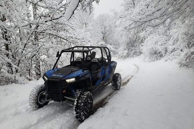 Private 1-Hour Quad or Buggy Safari in Borovets - Starting at Hotel Rila2010 in Borovets