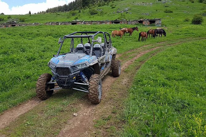 Private 1-Hour Quad or Buggy Safari in Borovets - A private activity with a social feel
