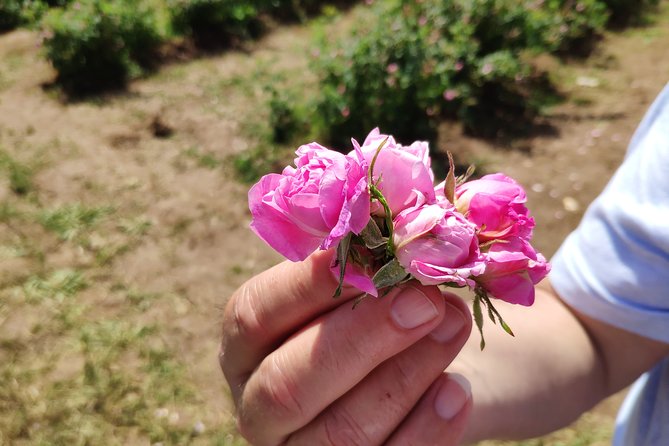 Private Access Rose Festival Kazanlak 05-07.06.2025 - Key points at a glance