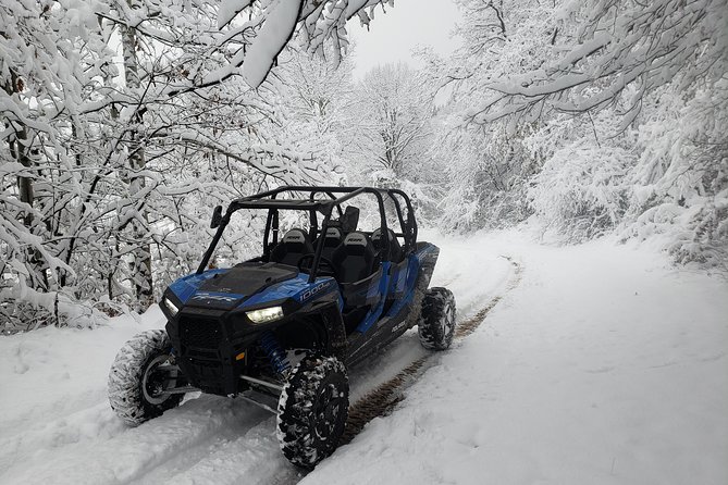 Private Buggy Experience All Seasons in Pamporovo - Key points at a glance