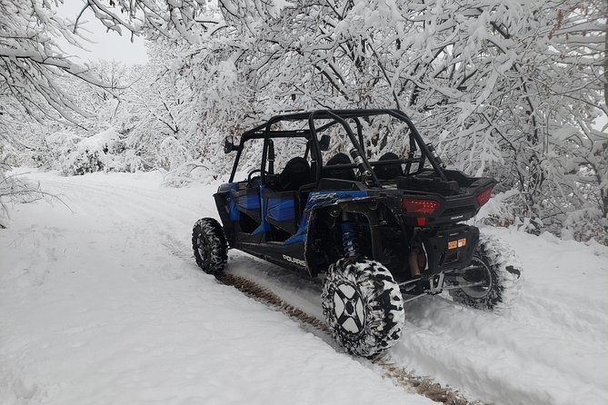 Private Buggy Experience All Seasons in Pamporovo - What the Pamporovo buggy experience is really like