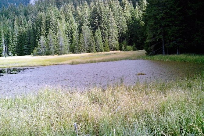 Private Buggy Experience All Seasons in Pamporovo - Why the Smolyan starting point matters
