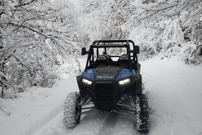 Private Buggy Experience All Seasons in Pamporovo - Is the price good value?
