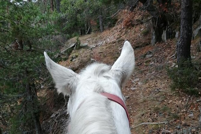 Private Cascades Waterfall Horseback Riding Tour from Smolyan - Starting in Sredok, above Smolyan