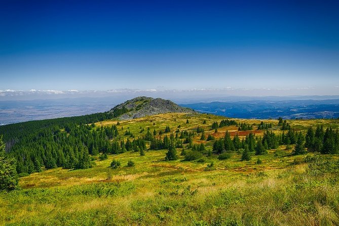 Private Day Trip to the Vitosha Mountain and Pancharevo Lake - Who will enjoy this outing most?