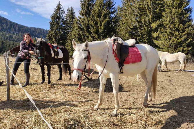 Private Horse Riding in the Balkan from Sofia - Skoka Falls and the rewards of a flexible route