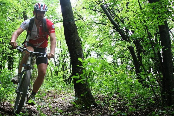Private Mountain Biking in Vitosha from Sofia - Four hours on Vitosha’s mountain trails