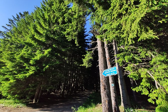Private Mountain Biking in Vitosha from Sofia - What the hardtail bike and helmet mean for you