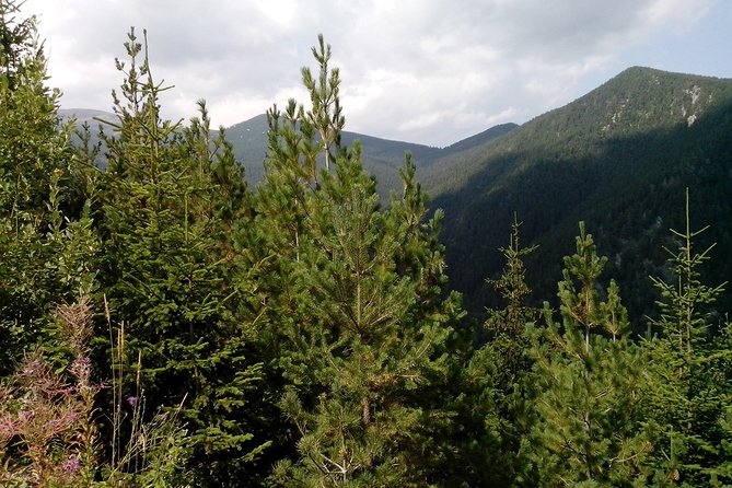 Private Vitosha Mountains Hiking with Black peak & Dragalevtsi Monastery - Leaving Sofia for Vitosha Mountain