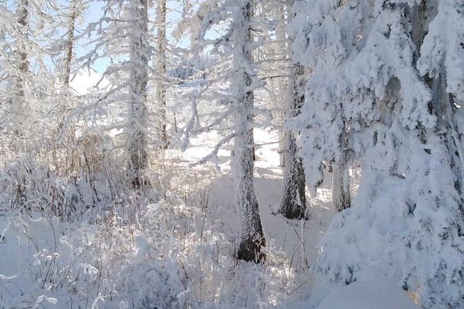 Private Vitosha Mountains Hiking with Black peak & Dragalevtsi Monastery - What the $34.88 price really buys