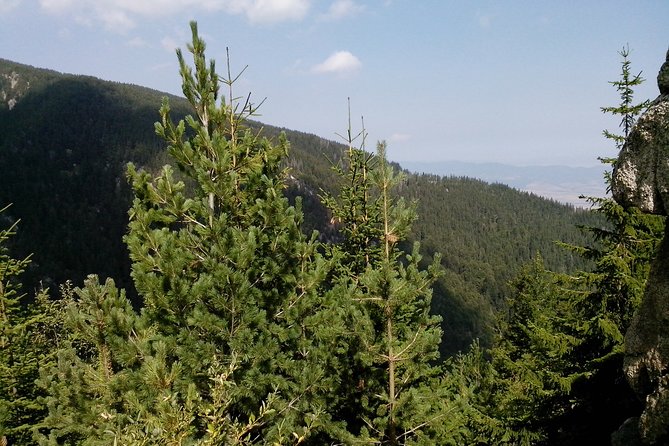 Private Vitosha Mountains Hiking with Black peak & Dragalevtsi Monastery - Who will enjoy this Vitosha day