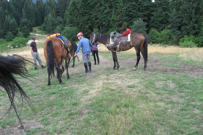 Rila Trail Riding for Experienced Riders - Leaving Sofia for the Rila Mountains