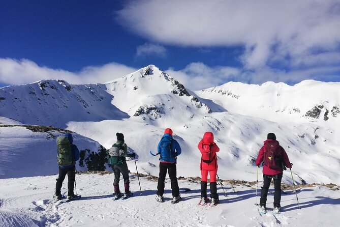Snowshoeing day trip to Mount Bezbog in Pirin Mountains - Key points to know before you book
