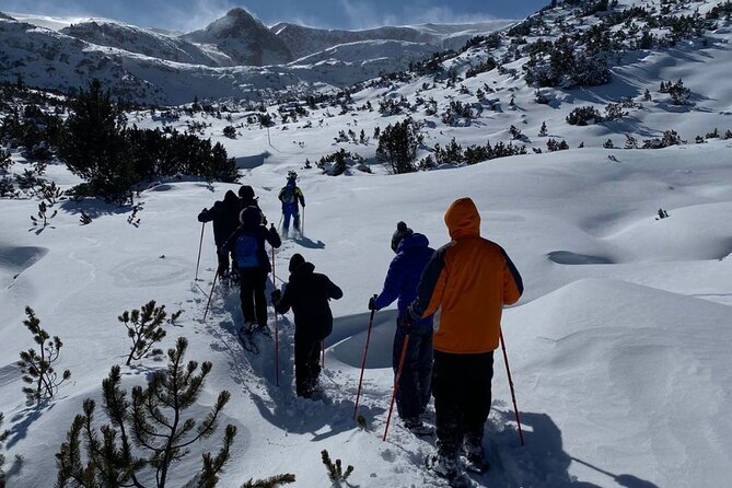 Sofia: Small group to Seven Rila Lakes and Skakavitsa waterfall - What the $113 Price Really Covers