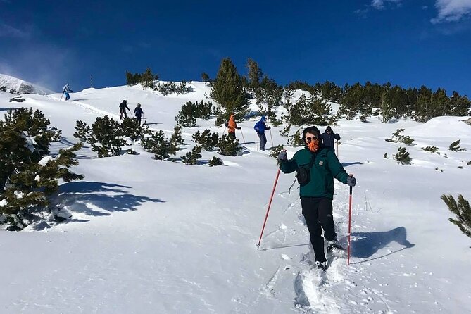 Sofia: Small group to Seven Rila Lakes and Skakavitsa waterfall - The Lakes Peak and the 360-Degree View