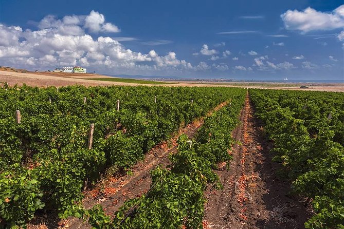 Special History And Wine Tour including Wine Tasting - Simeon’s Mound and the Battle of Aheloy