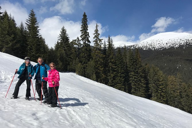 The Best of Bansko: Magical Snowshoeing Adventure & SPA - Starting in Bansko with pickup and equipment