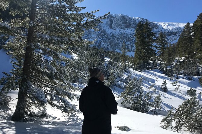The Best of Bansko: Magical Snowshoeing Adventure & SPA - Dobrinishte’s mineral pools provide the soft landing