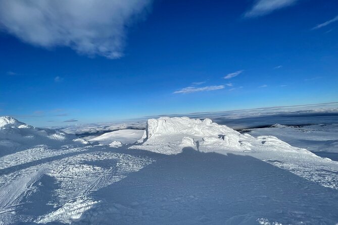 The Best of Sofia: Magical Snowshoeing Adventure in Vitosha & SPA - The air-conditioned ride and pickup details