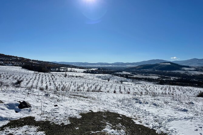 Truffle Hunting in Kyustendil - Why this Kyustendil outing feels different