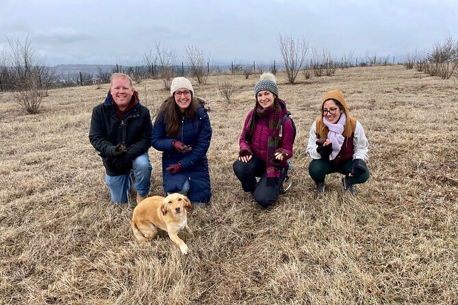 Truffle Hunting in Kyustendil - Walking beneath the hazelnut trees
