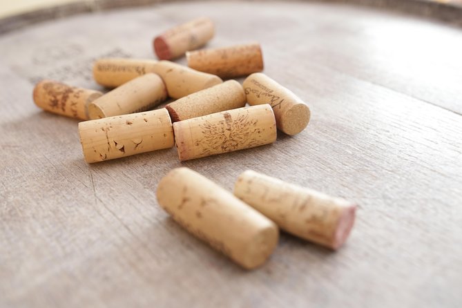 Wine Tasting in Heart of Sofia - What the food pairing adds