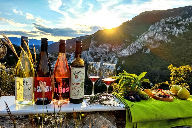 Wine trip with The Jolly Vintners near Sofia - Is $89 a fair price?